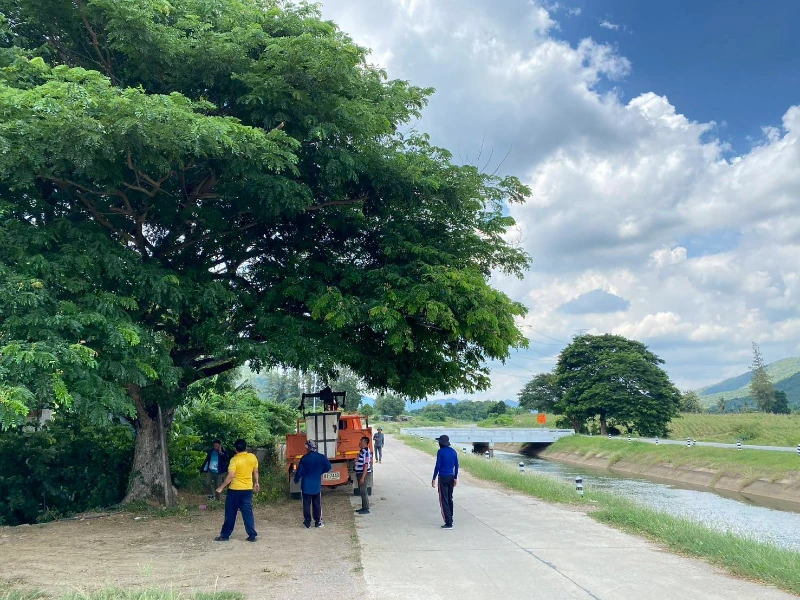 งานป้องกันและบรรเทาสาธารณภัย ร่วมกับกองช่าง ดำเนินการตัดต้นไม้บริเวณโรงเรียนบ้านวังวน