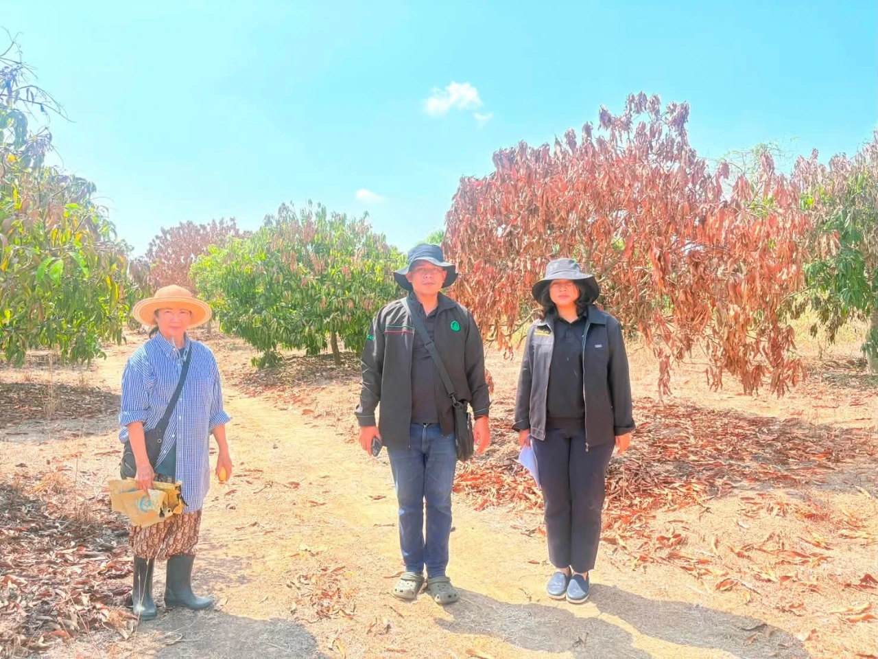 ลงพื้นที่ตรวจสอบการขอรับการช่วยเหลือของเกษตรกรที่ประสบภัยพิบัติปัญหาภัยแล้ง (ด้านพืช) หมู่ที่ 7 บ้านหนองยิงหมี