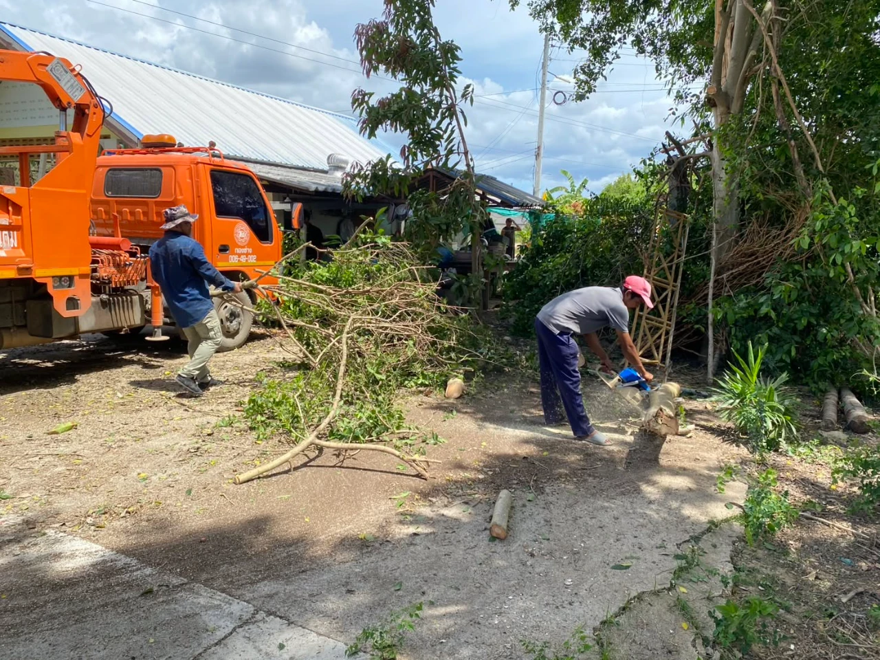 งานป้องกันและบรรเทาสาธารณภัย ดำเนินการตัดต้นไม้ ภายในโรงเรียนชลประทานปราณบุรี
