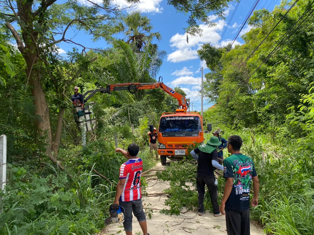านป้องกันและบรรเทาสาธารณภัย ดำเนินการตัดแต่งต้นไม้บริเวณหมู่ที่ 9 บ้านหนองไกรทอง
